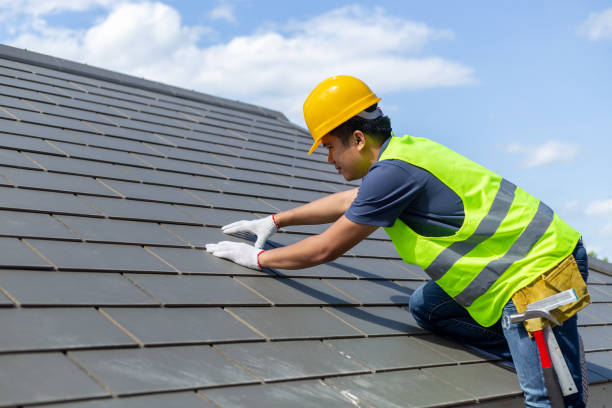 Best Roof Gutter Cleaning  in Painted Post, NY
