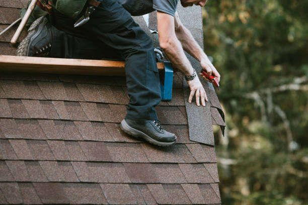 Best Roof Gutter Cleaning  in Painted Post, NY